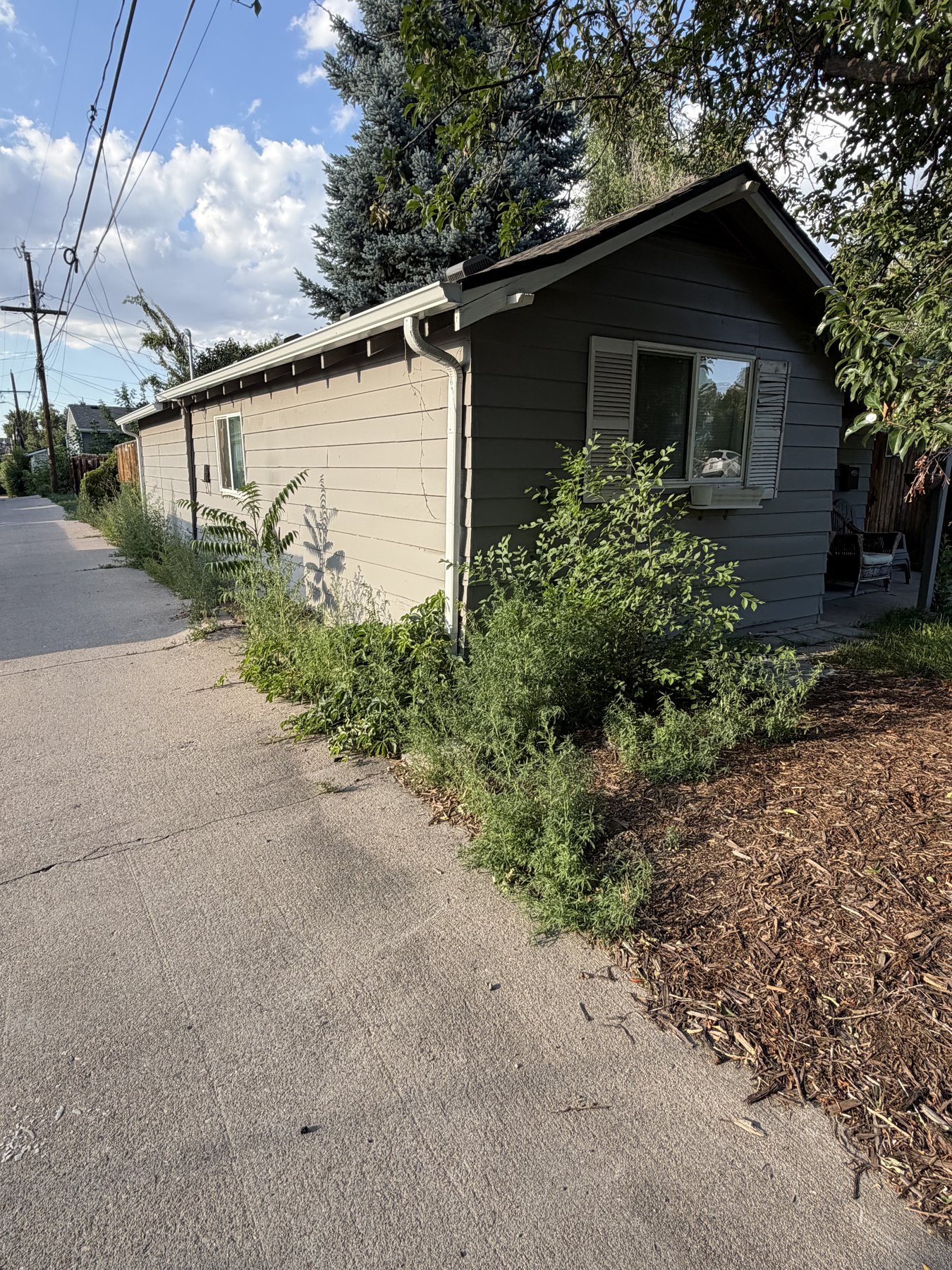 Before: weeds along house foundation and walkway